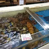 マルヤ水産