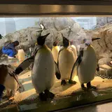 豊橋総合動植物公園 (のんほいパーク)