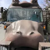 富士サファリパーク