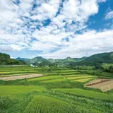 栃又の棚田