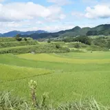 尾戸の口棚田