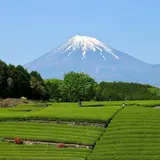 大淵笹場