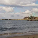 蕪島ウミネコ繁殖地