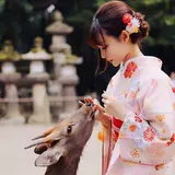 レンタル着物 奈良公園 /奈良富士きもの
