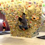 Climbing Gym ADSUMMUM