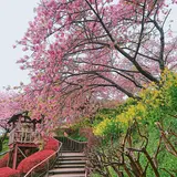 西平畑公園