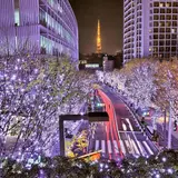 六本木けやき坂通り