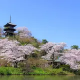 三溪園