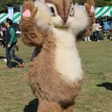 千葉共同組合フェスティバル