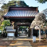 三寳寺