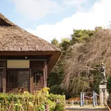 秩父宮記念公園