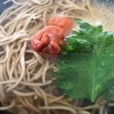 宝うどん