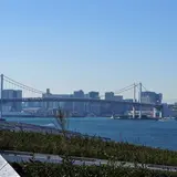 豊洲市場 屋上緑化広場