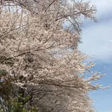 与野公園