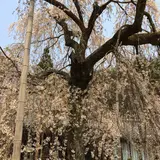 嶌頭山 徳勝寺