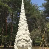 N's YARD