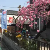 井上源三郎資料館