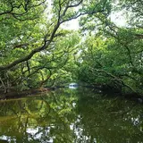 四草生態文化園区