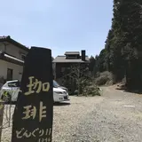 どんぐり11