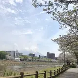 松方橋