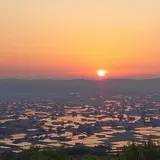 砺波平野の散居村（散居村展望台）