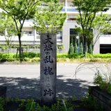 大塩の乱 槐(えんじゅ)跡