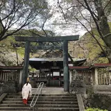 金崎宮「花換まつり」