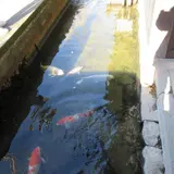 津和野城跡