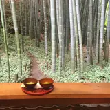 報国寺（竹寺）