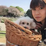 世田谷公園