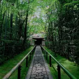 高桐院