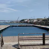 城ヶ島海上釣堀Jsフィッシング