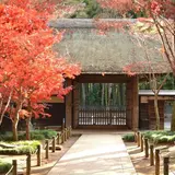 平林寺