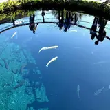 忍野八海