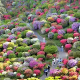 塩船観音寺
