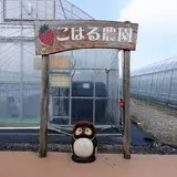 こはる農園