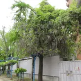 下福島公園