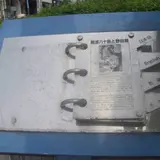 難波八十島と野田藤