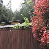 薬王寺温泉