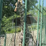 桐生が岡動物園