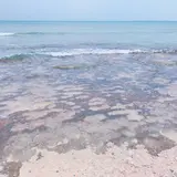 なかた荘