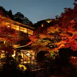 ねぎや 陵楓閣