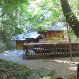 七本杉（天岩戸神社東宮）