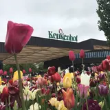 キューケンホフ公園（Keukenhof）