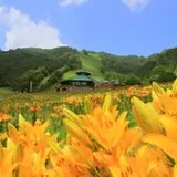 【閉業】尾瀬岩鞍ゆり園