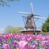 ふなばしアンデルセン公園