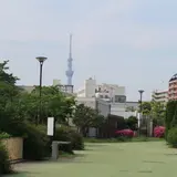 豊住公園