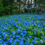 雲昌寺