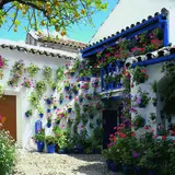 Cordoba（コルドバ）