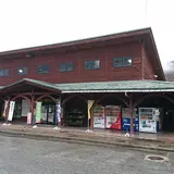 道の駅細入
